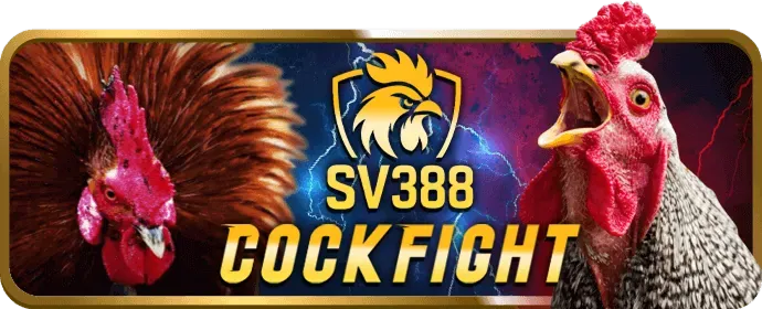Hoàn trả hàng tuần f8be